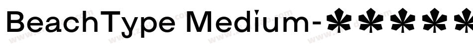 BeachType Medium字体转换